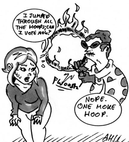 Proposed voter registration laws are undemocratic