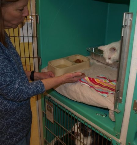Courtesy of DeKalb County Animal Shelter
Deb Ryan, staff
