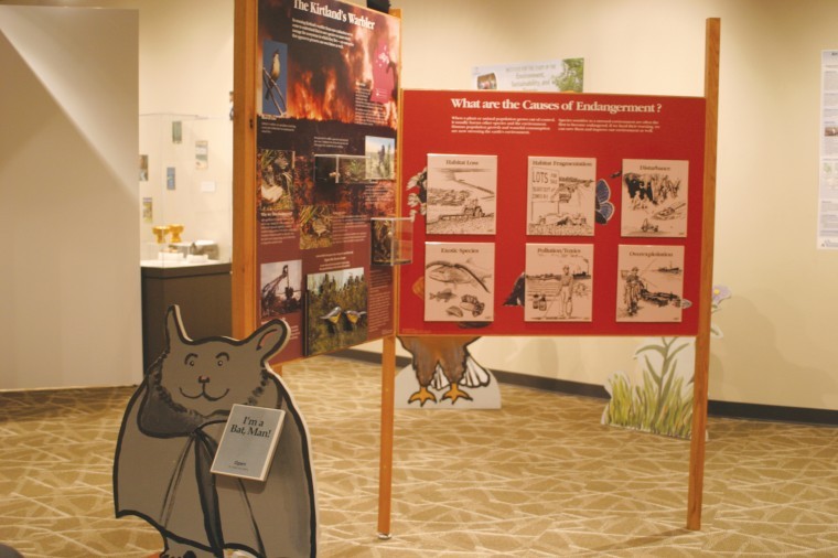 Visitors can lift flaps and find out more information about the various causes of plant and animal extinction. Habitat exploitation and the introduction of exotic species are just two of the harmful practices explained.
