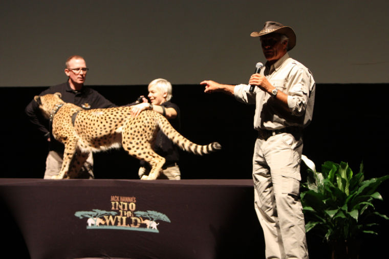 Jack Hanna, famed wild life advocate and zoo keeper, talks about his experience with wildlife and animals in Africa during Jack Hanna: Into the Wild Live Sunday at the Egyptian Theatre, 135 N. Second St.