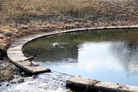 Trying to enjoy the weather? Check out the top 4 prettiest places on campus