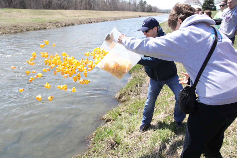 Tom Stanton, Danny Did Foundation representative, and his grandmother throw rubber ducks into the Kishwaukee River on Sunday for the Alpha Phi Omega 12th Annual Duck Race which helped raise money for the Danny Did Foundation. The Danny Did Foundation is dedicated to help prevent deaths caused by seizures.