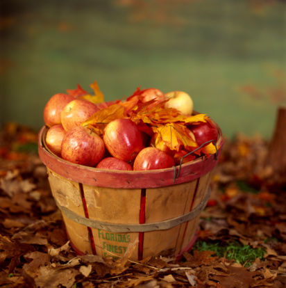 Basket of apples