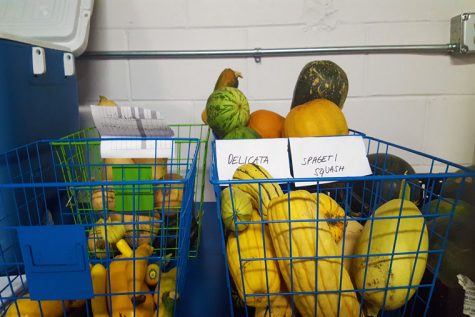 The Huskie Food Pantry gets vegetables from the DeKalb County Community Gardens.