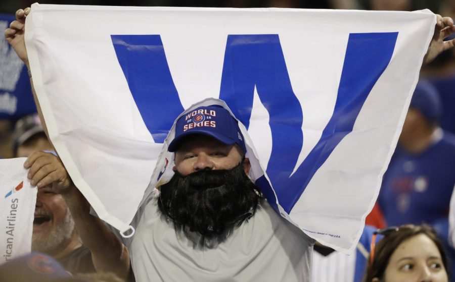A Chicago Cubs fan cheers at Progressive Field after game six of the World Series against the Cleveland Indians Tuesday in Cleveland. The Cubs won 9-3 to tie the series 3-3.