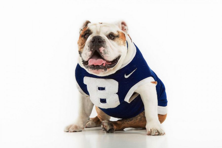 Bulter Universitys Blue the third, also known as Trip, poses in his jersey.