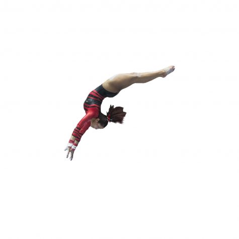 Gymnastics end season at NCAA Regionals