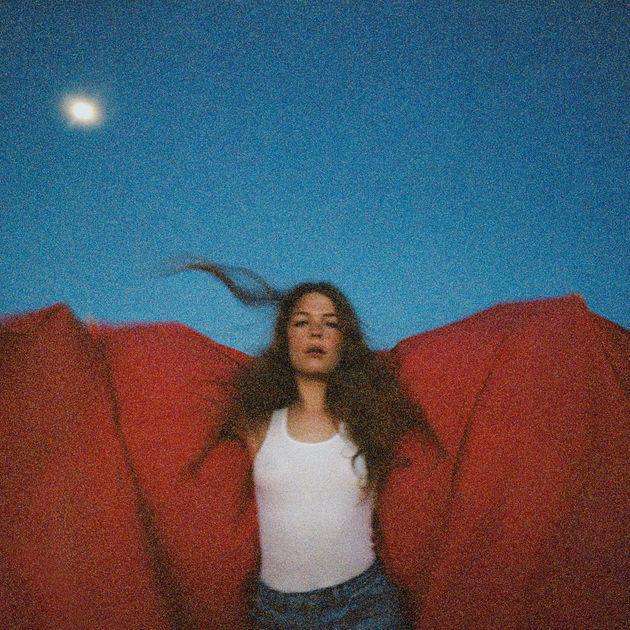 Maggie Rogers first studio album, Heard It In a Past Life, contains elements of both pop and folk while telling stories about Rogers past life.