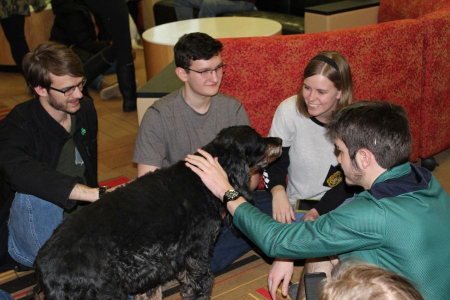 A group of students gather in the front of New Residence Hall to pet Bugsy the cocker spaniel Monday, during Hounds in the Hall, a Counseling and Consultation Services event.