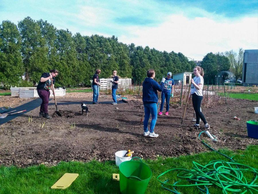 Students plan garden plots Tuesday at the Communiversity Gardens. The gardens are meant to reduce food insecurity in DeKalb, according to DeKalb County Community Gardens Director Dan Kenney.