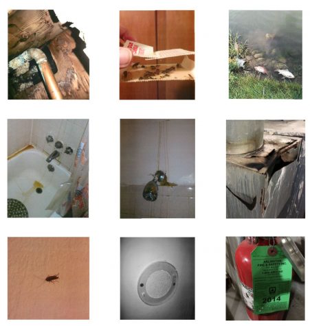Photos from a WNIJ public records request to the DeKalb County Health Department. Photos were sent to Health Department officials at various times via email since 2016. Photos and emails do not reflect internal remedial efforts made in response by Suburban management or maintenance crews, and it’s unclear whether management was made aware of tenant concerns before tenants reached out to the health department.
