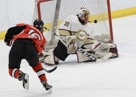 Senior forward Brad Krauser finds the back of the net during NIU's 6-1 loss to Robert Morris University on Feb. 15 at Edge Ice Arena in Bensenville, Illinois.