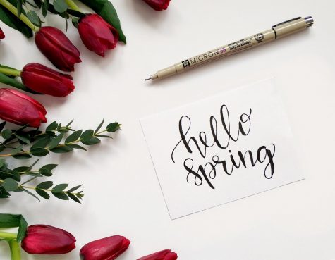 Ways to enjoy spring break on a budget