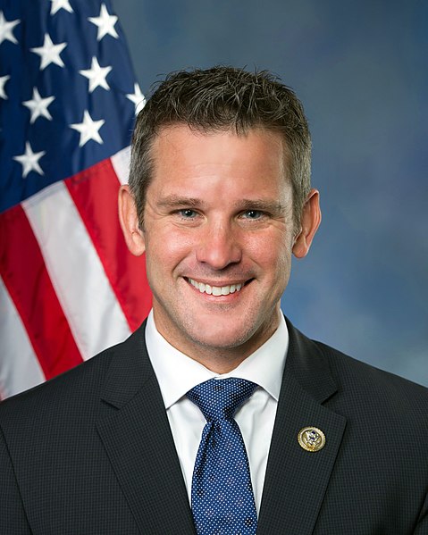 Kinzinger appears to win reelection
