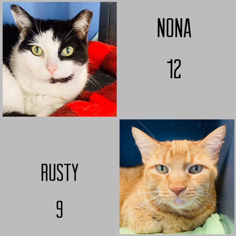 Tails pet of the week: Rusty and Nona