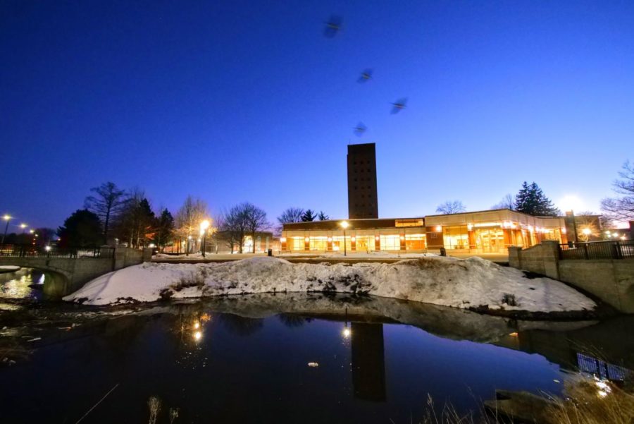 Geese fly by Cole Hall on March 3, 2021.