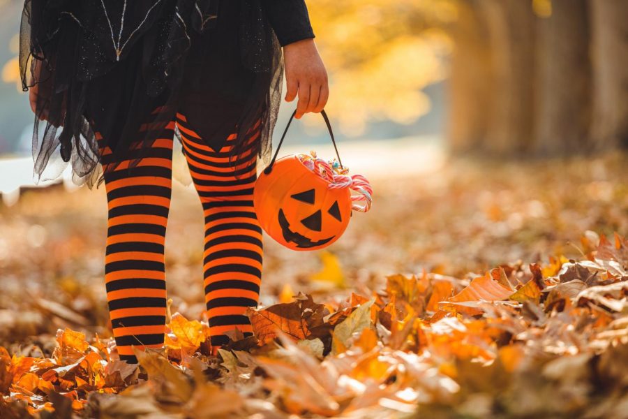 Little girl in witch costume having fun outdoors on Halloween trick or treat.