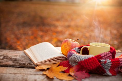 Columnist Ally Formeller lists her favorite books to read during fall.