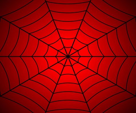 Spider web illustration.