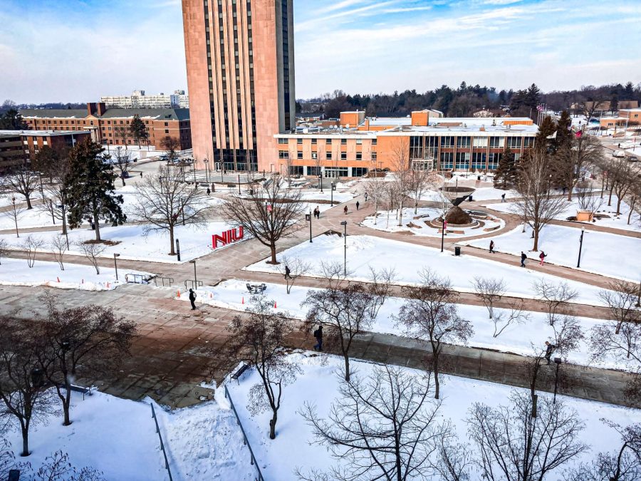 As a snowstorm ripped across the Midwest last week, many universities, including NIU, let professors decide whether or not their classes would be held online.