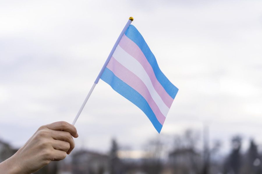 Transgender Flag held in the sky (Getty Images)
