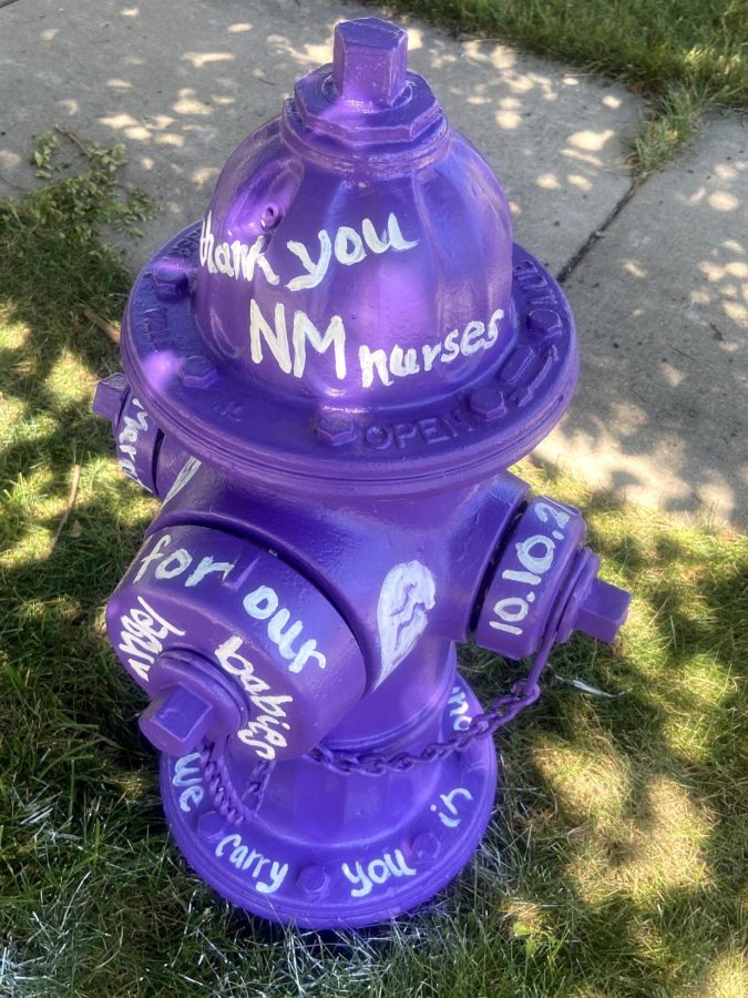 DeKalb resident Megan Forti painted a plug for Northwestern Medicine and March for Dimes. 