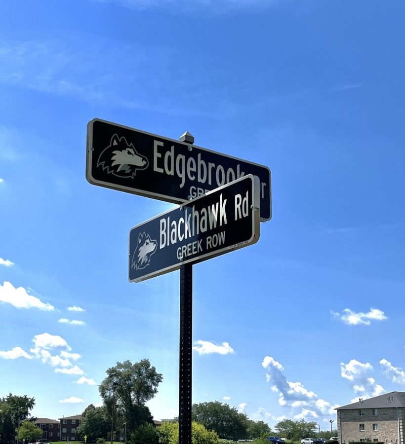 New street signs designed by the university standing tall after being installed around the DeKalb area this semester. (Abbi Sweeney | Northern Star)