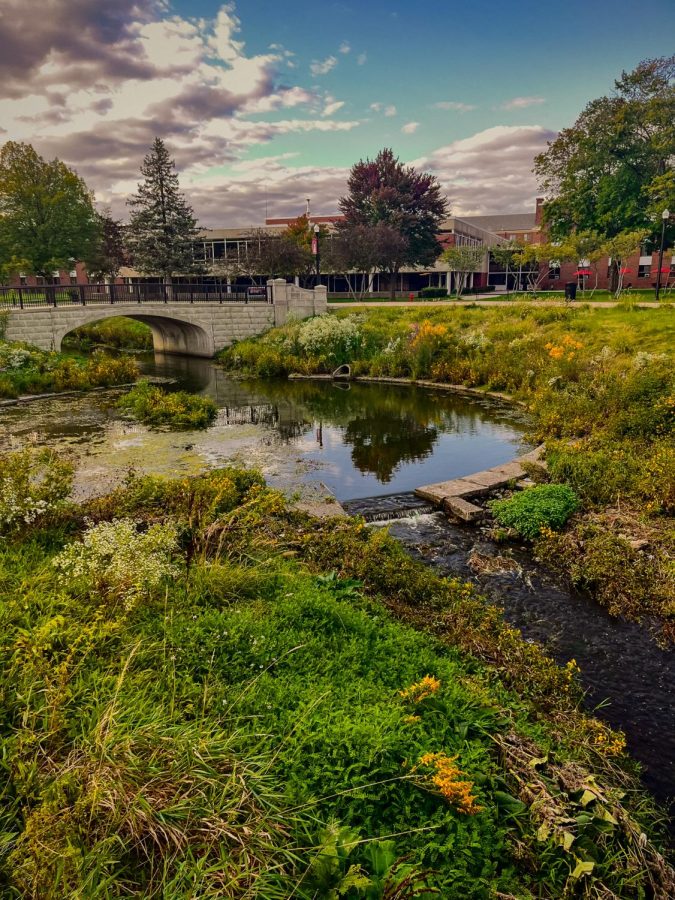 Plants surrounding the creek through the center of campus begin to change color as fall continues to set in Monday evening. (Abbi Sweeney | Northern Star)