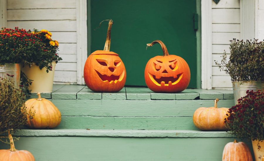 Columnist Angelina Padilla-Tompkins offers her recommendations on how to celebrate spooky season in DeKalb, Chicago and at home. 