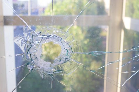 Columnist Max Honermeier broke his neighbors window with a rocket he made. 