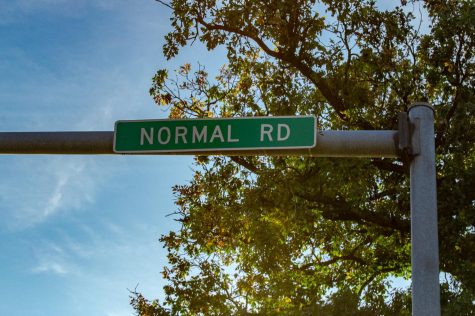 A sign for Normal Road rests in front of a tree on Tuesday evening at the intersection of Normal and West Lincoln Highway. (Sean Reed | Northern Star)