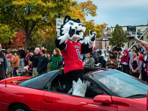 NIU mascot Victor E. Huskie rides atop a convertible greeting the crowd viewing the March of the Huskies, for the 115th homecoming celebrations Thursday night on Second Street in downtown DeKalb. (Mingda Wu | Northern Star)