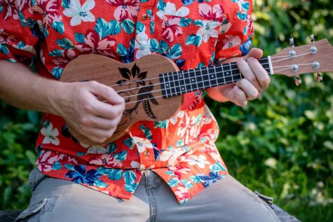 The DeKalb Public Library will be sponsoring an afternoon concert highlighting Hawaiian music at 2 p.m. on Saturday in the library’s Yusunas Meeting Room.