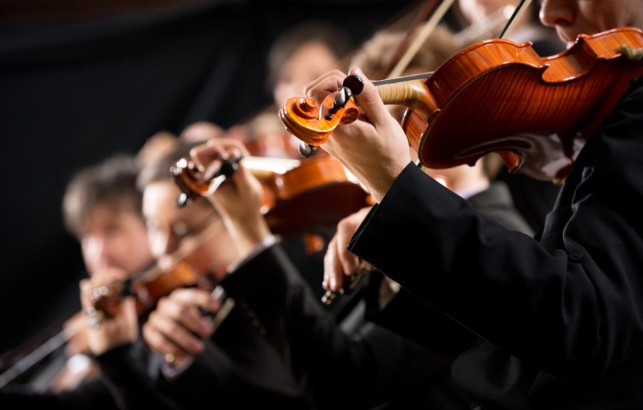 An orchestral violin section performing at a concert. (Courtesy of Getty Images)