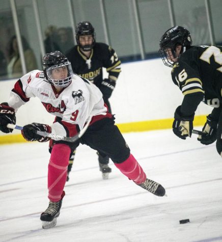 Senior forward Hunter Wahl battles for the puck in the neutral zone against a Purdue University Northwest player during the Huskies match against the Pride on Oct. 14, 2022