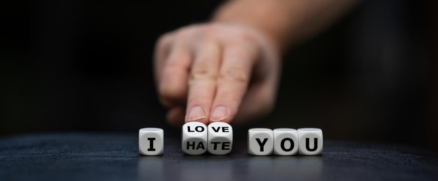 Sets of dice which spell out the words I Love You and I Hate You being balanced between the words love and hate.