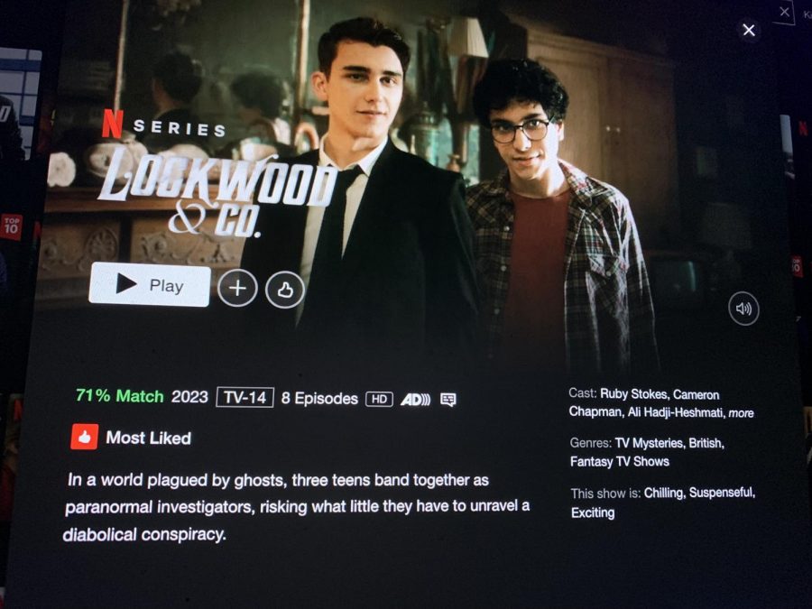 The Lockwood & Co. page with a description on the Netflix website. 