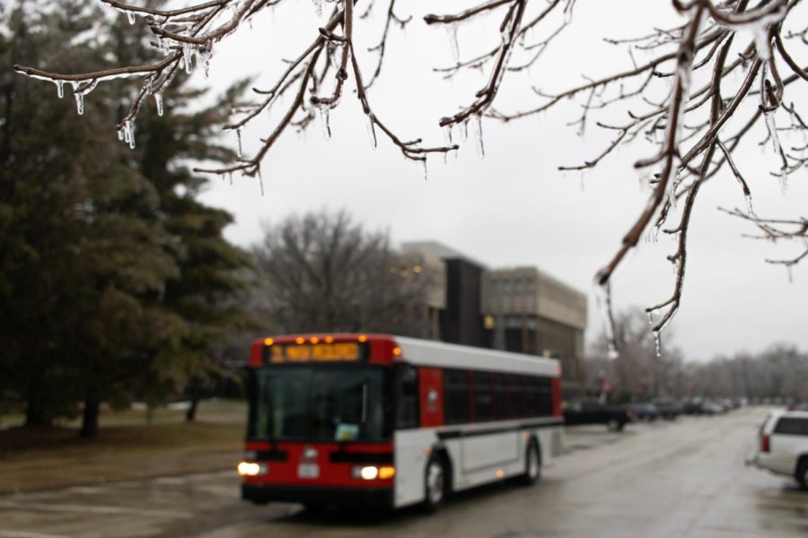 A 2L Huskie Line bus drives past a tree covered in frozen rain Wednesday near the Jack Arends Visual Arts Building on Gilbert Drive. (Sean Reed | Northern Star)