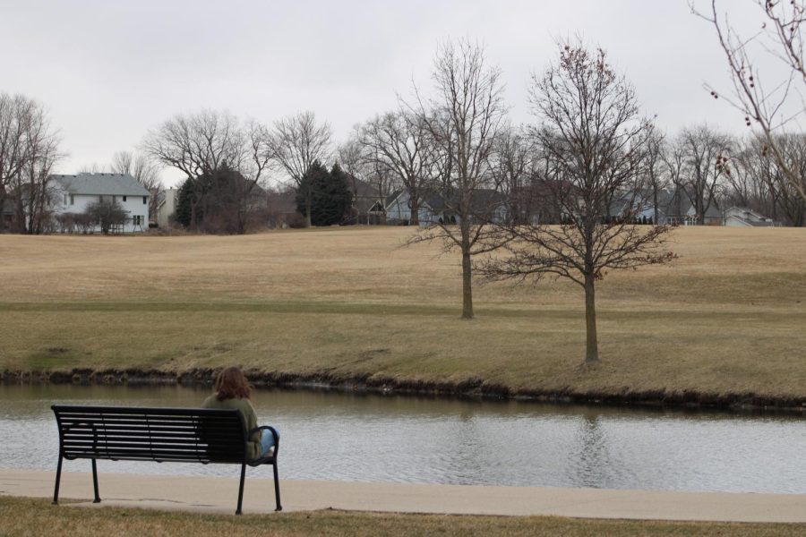A young woman sitting and reading on a bench in front of a pond. The bench is in the park next to the Engineering Building, one of the best outside study spots at NIU.