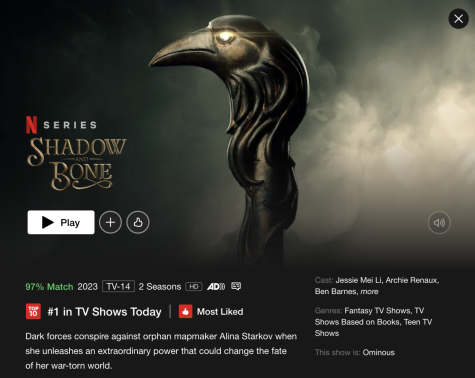 A screenshot of the Shadow and Bone page on Netflix. The shows second season came out Thursday.