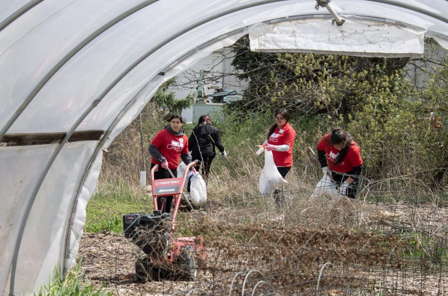 Volunteers work to clean the DeKalb County Community Garden on Friday for the annual NIU Cares day of service. (Madelaine Vikse)