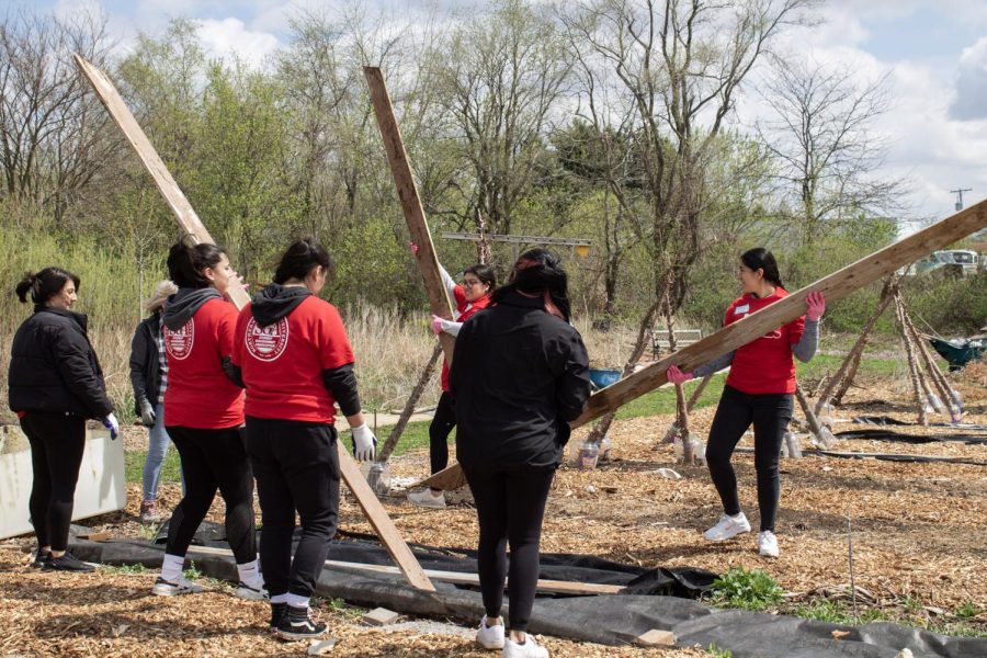 NIU Cares volunteers at the DeKalb County Community Garden lift wooden boards to move them to a different location. (Madelaine Vikse | Northern Star) 