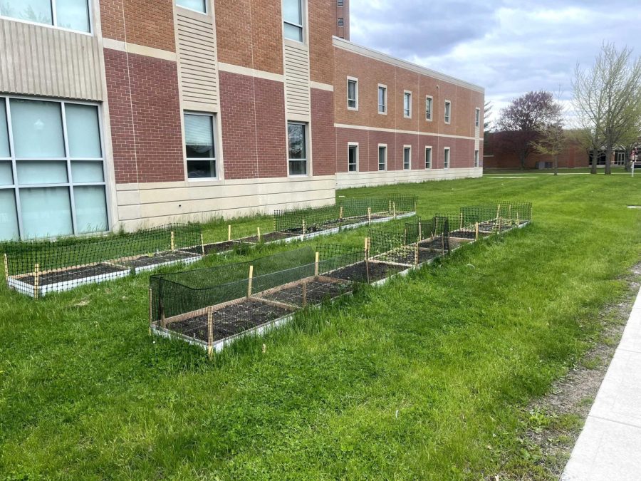 Recently built garden beds near the Stevens Building. 100 new gardens beds have been built as part of the Edible Campus initiative.(Michael Mollsen | Northern Star)