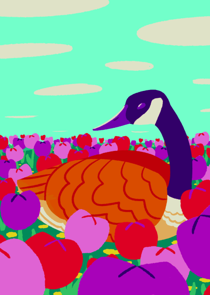 Cartoonist Isaac Trusty illustrates a goose laying on a bed of flowers. NIU students and staff can expect to see plenty of geese around campus. 