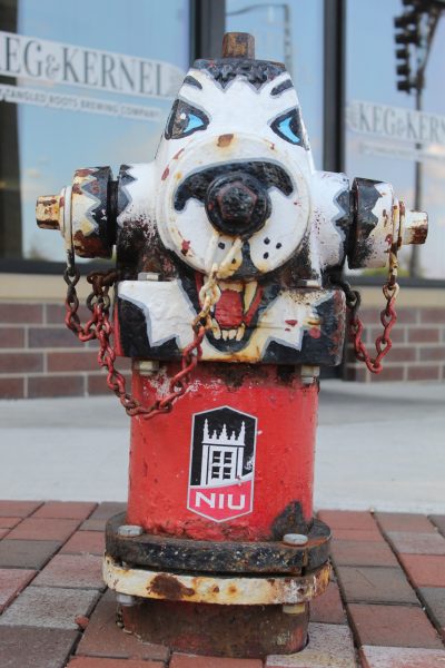 A Huskie painted fire hydrant sits in front of Keg and Kernel, 106 E Lincoln Hwy,  downtown DeKalb. The fire hydrant is a part of the program Paint-A-Plug. (Sasha Norman | Northern Star)