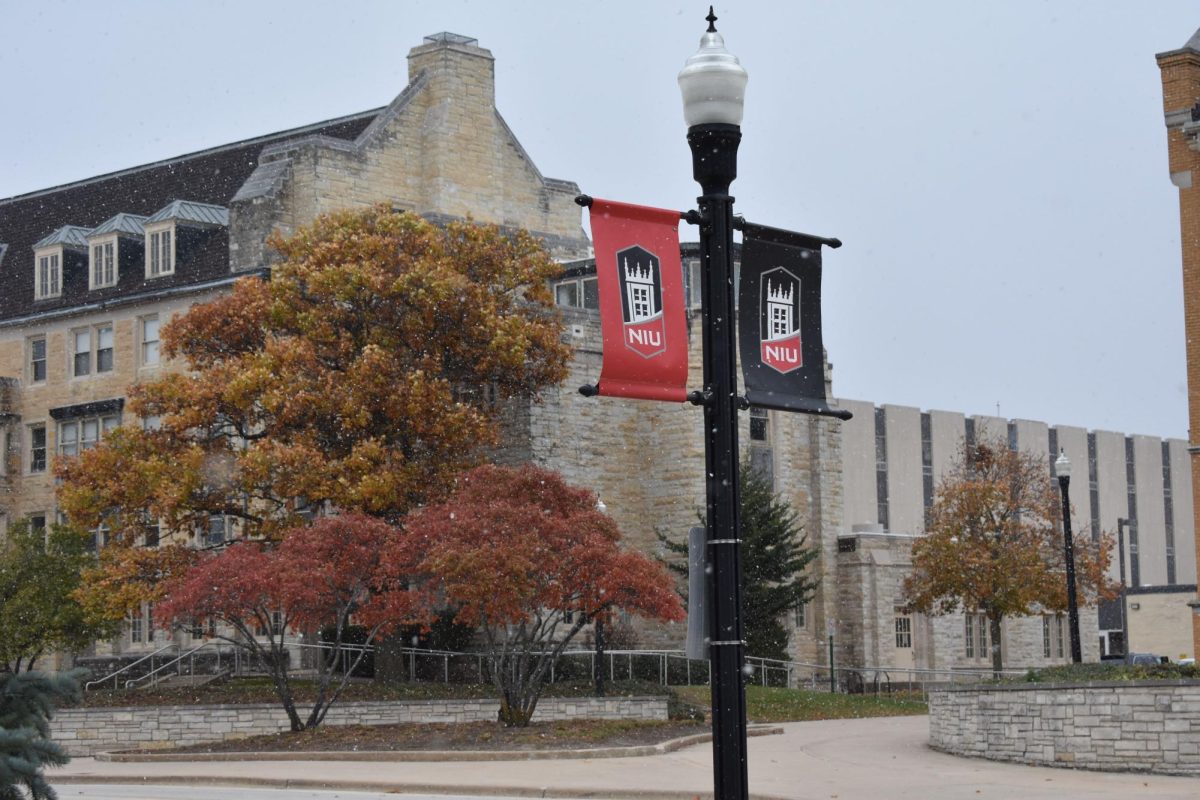 Snow falls on an NIU lamp post with Adams Hall in the background. The university saw its first snow fall of the year on Oct. 31. (Nick Glover | Northern Star)