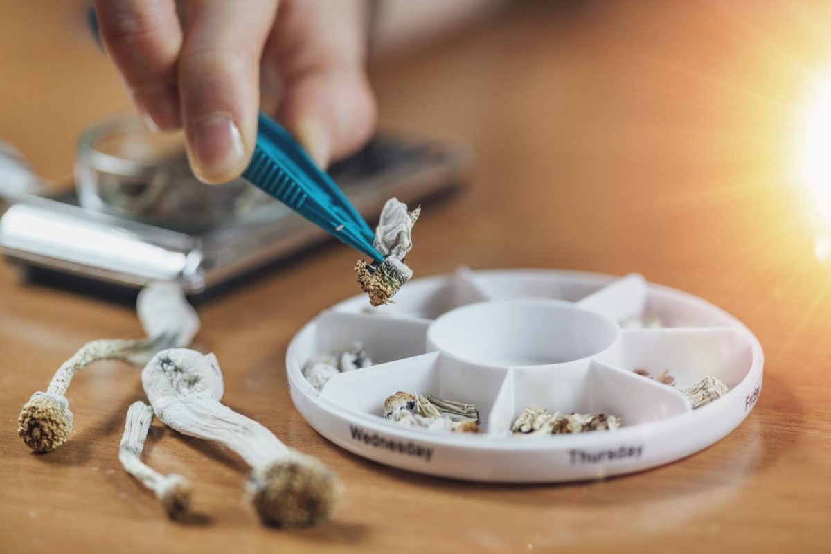 Small amounts of psilocybin are placed in a dosette box. The legalization of psilocybin in Illinois could legitimize its usage for therapeutic purposes. (Courtesy of Getty Images)