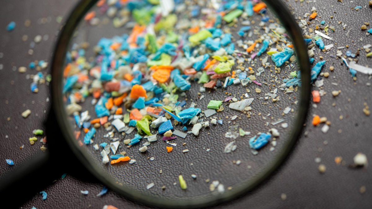 Multicolored microplastics are magnified under a magnifying glass. The Northern Illinois Center for Community Sustainability now has a new system that can identify and research microplastics. (Courtesy of Getty Images)