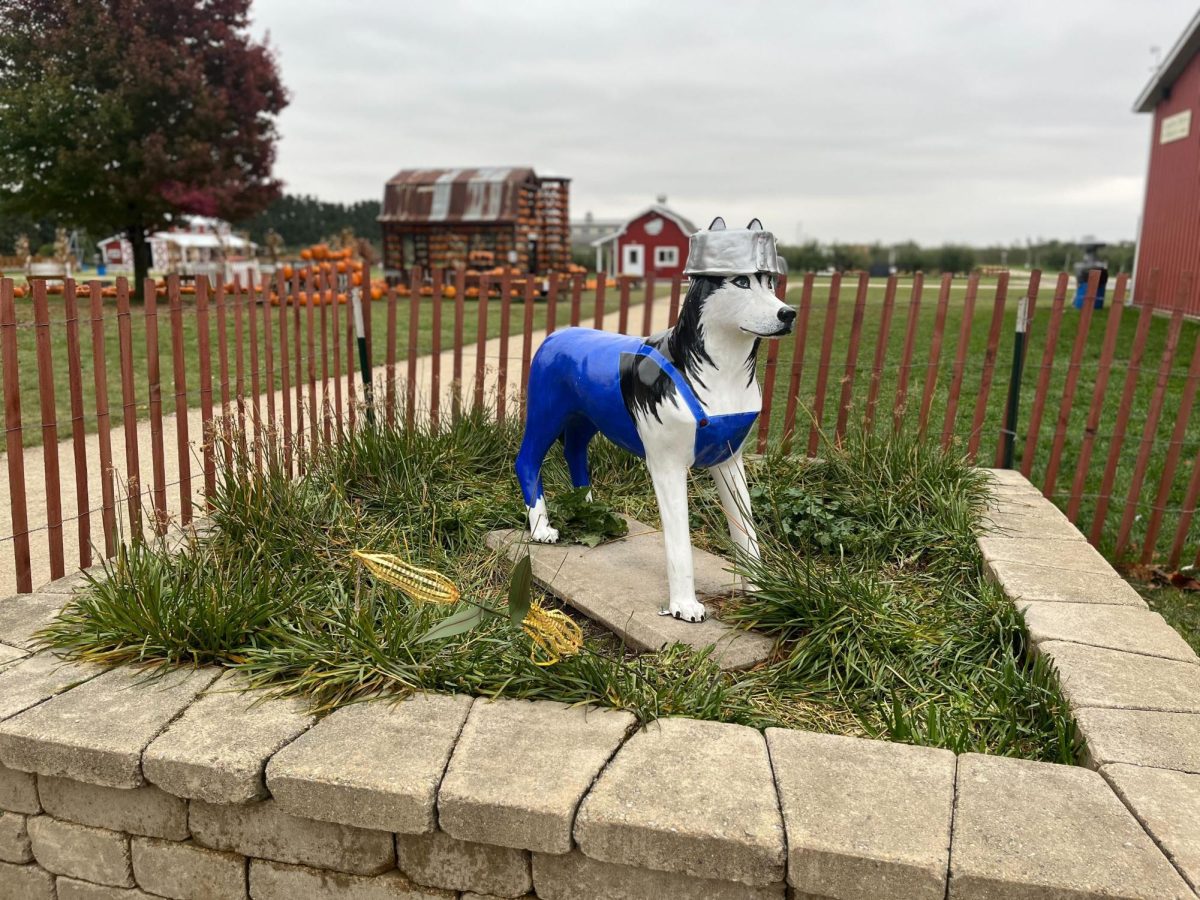 A huskie statue painted in blue overalls stands outside Jonamac Orchard. The Orchard has many fall activities for the public to enjoy such as apple picking and a corn maze. (Sarah Rose | Northern Star)
