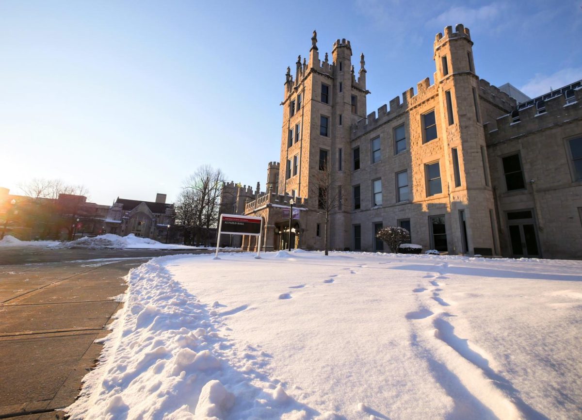 Altgeld Hall stands in the distance on a clear snowy day. Campus Dining Services and Building Services workers voiced their concerns during the public comment section of the Board of Trustees meeting on Dec. 7. (Northern Star File Photo)
